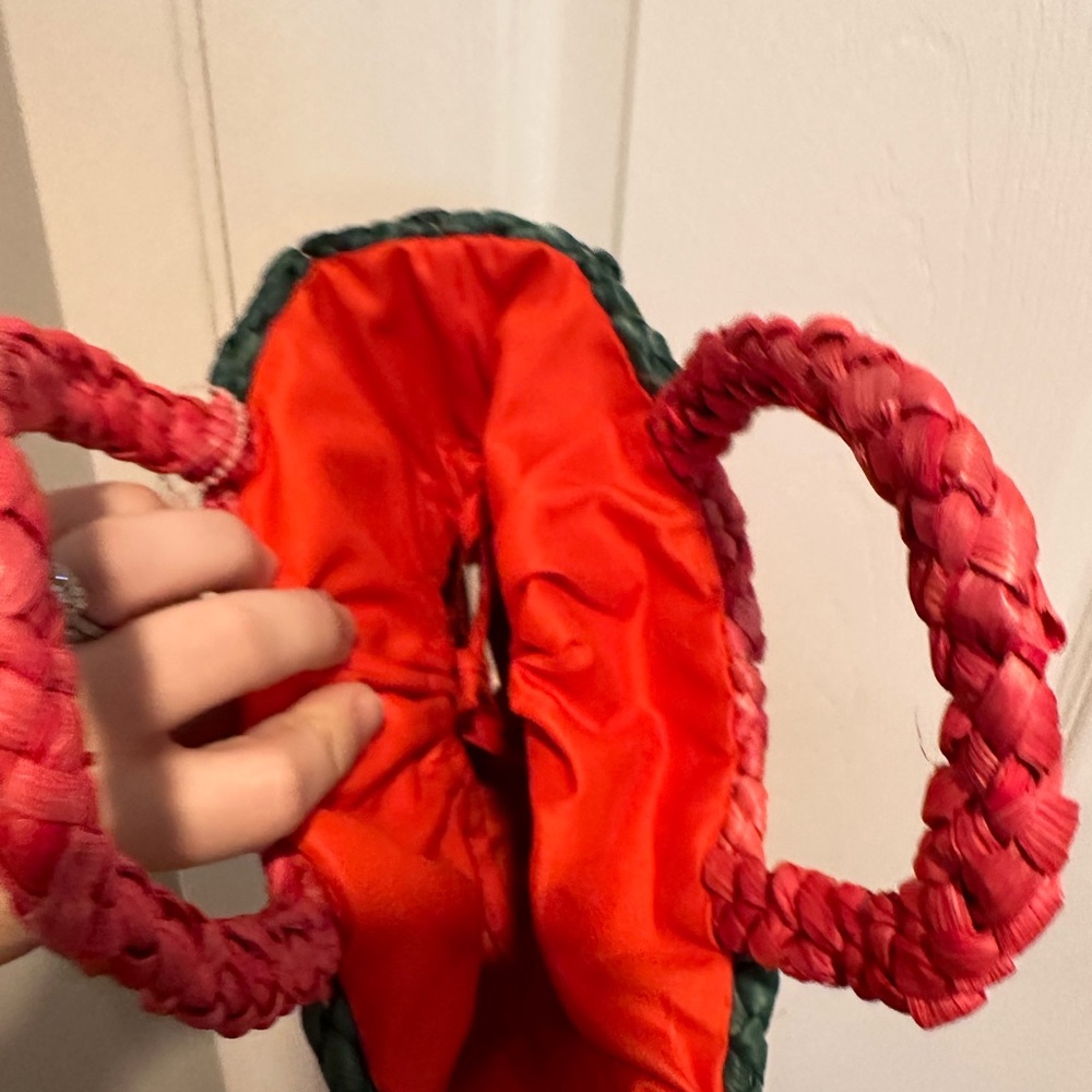 ๐ NWT Topshop watermelon handbag ๐ - Picture 5 of 14